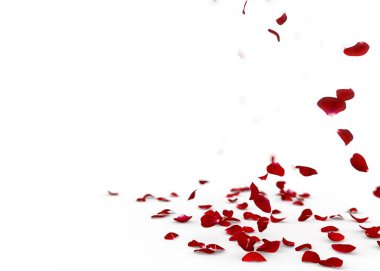 Kırmızı gül yaprakları yere düşmek