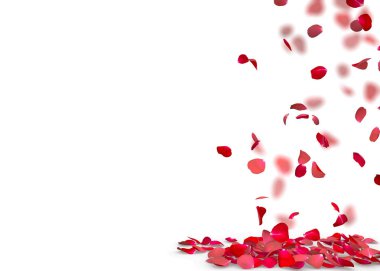 Gül yaprakları yere düşmek