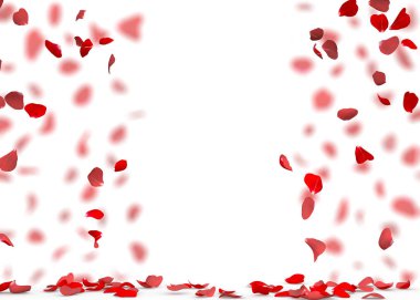 Rose petals fall to the floor clipart
