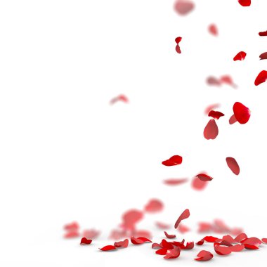 Gül yaprakları yere düşmek