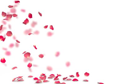 Gül yaprakları yere düşmek