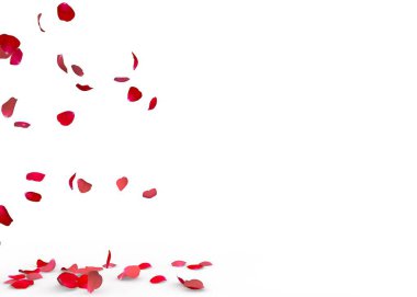 Gül yaprakları yere düşmek