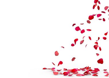 Gül yaprakları yere düşmek