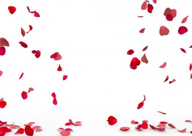 Gül yaprakları yere düşmek