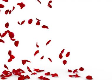 Gül yaprakları yere düşmek