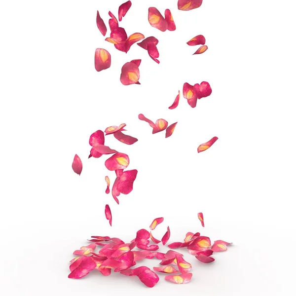 Pétalos de rosa caen al suelo — Foto de Stock