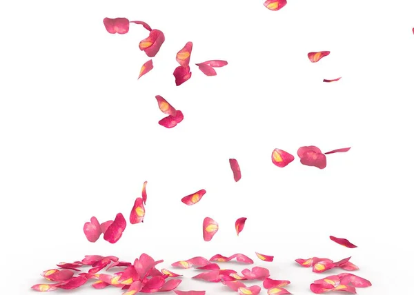 Лепестки роз падают на пол — стоковое фото