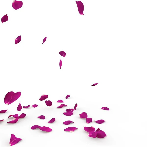Violeta pétalas de rosa cair no chão — Fotografia de Stock