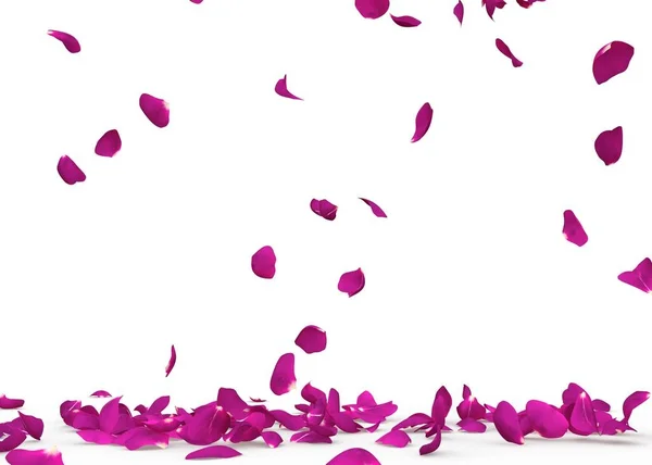 Pétalos de rosa púrpura caen al suelo —  Fotos de Stock