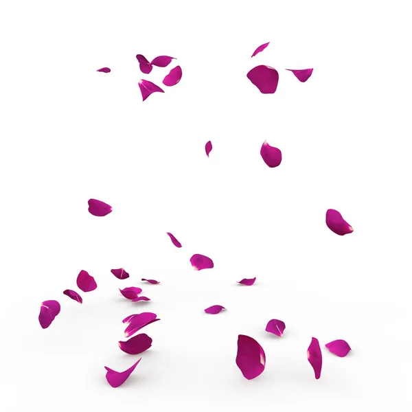 Violett rosenblad falla till golvet — Stockfoto