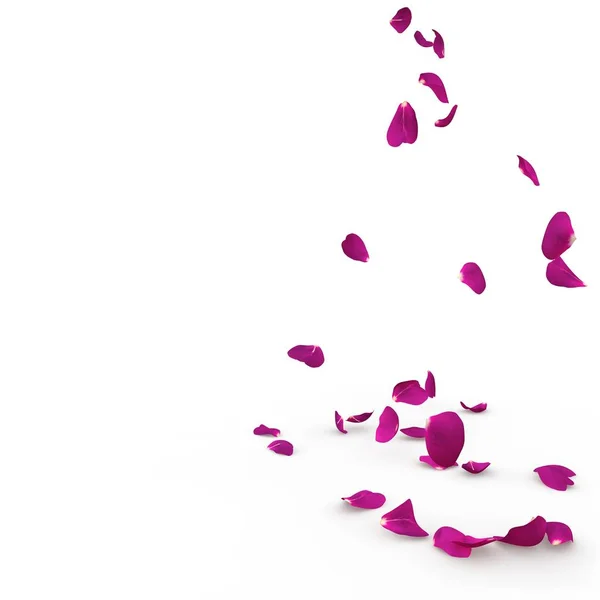 Pétalos de rosa violeta caen al suelo — Foto de Stock