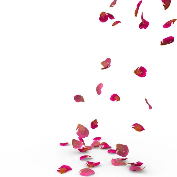 Rosenblätter fallen zu Boden — Stockfoto