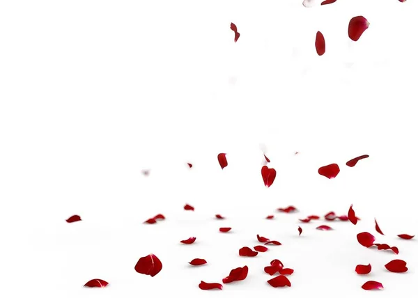 Rode rozenblaadjes vallen op de vloer — Stockfoto
