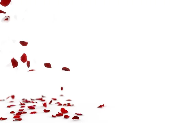 Czerwone płatki róż opadają na ziemię — Zdjęcie stockowe