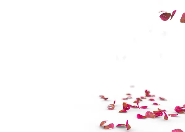 Pétalas vermelhas de rosa caem no chão — Fotografia de Stock