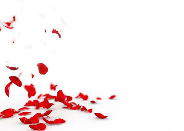 Piros rózsaszirom esik a földre — Stock Fotó