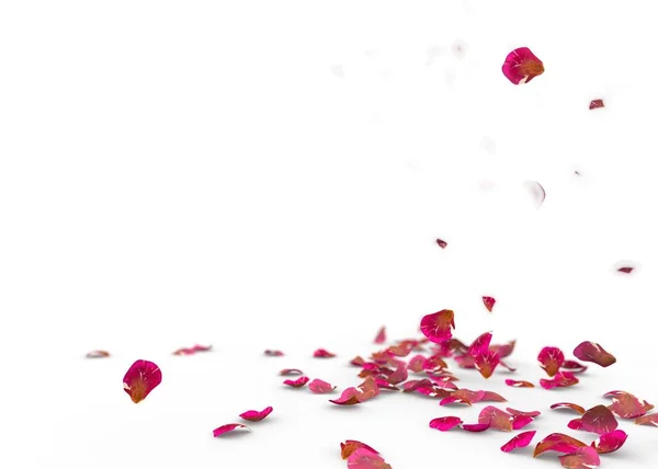 Red rose petals fall to the floor — Stock Photo, Image