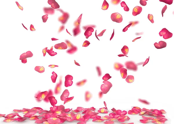 Pétalos de rosa caen al suelo —  Fotos de Stock