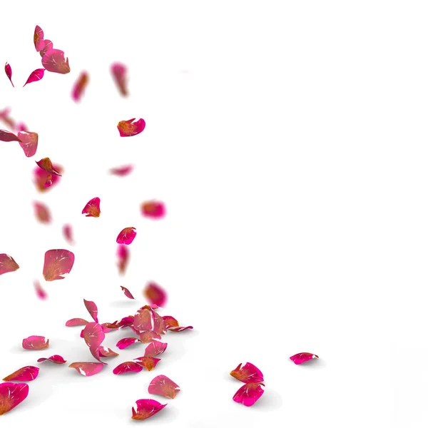 Petali di rosa cadono a terra — Foto Stock