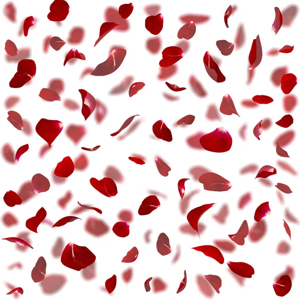 Nahtlose Textur roter Rosenblätter — Stockfoto