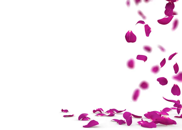 Pétalos de rosa púrpura caen al suelo — Foto de Stock