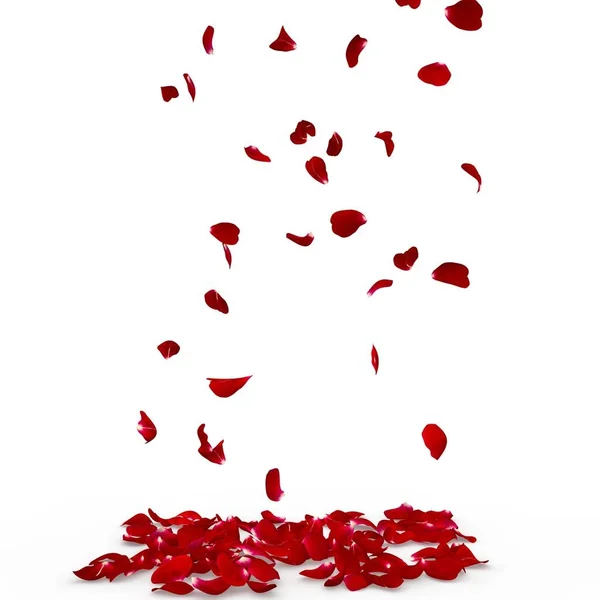 Rose petals fall to the floor — Stock Photo, Image