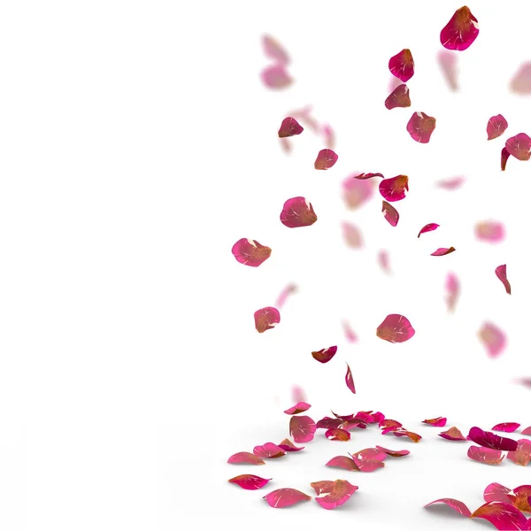 Rose petals fall to the floor Stock Picture