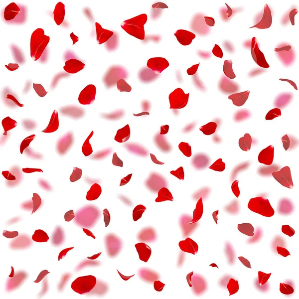 Seamless texture of red rose petals — Stock Photo, Image