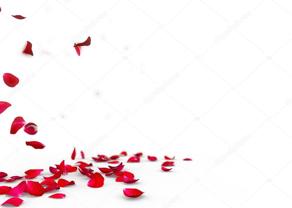 Red rose petals fall to the floor