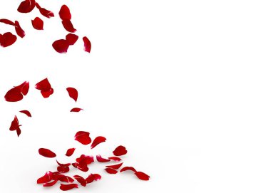 Gül yaprakları yere düşmek