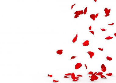 Gül yaprakları yere düşmek