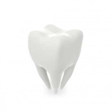Model beyaz izole arka planda bir molar diş