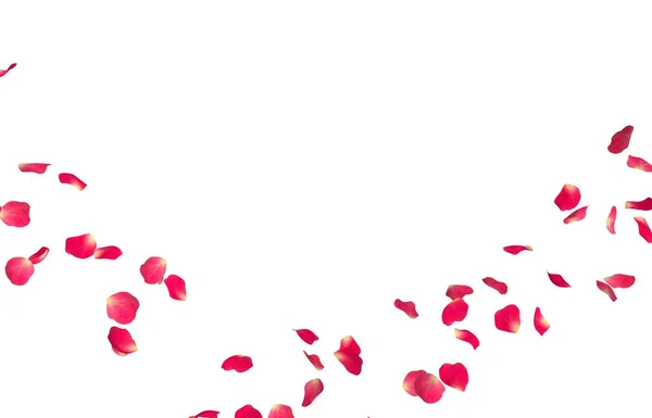 Czerwone płatki róż latać w kółko. Centrum wolnego miejsca na zdjęcia lub tekst — Zdjęcie stockowe