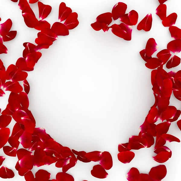 Red rose petals scattered on the floor. In the center an empty space for Your design — Stock Photo, Image