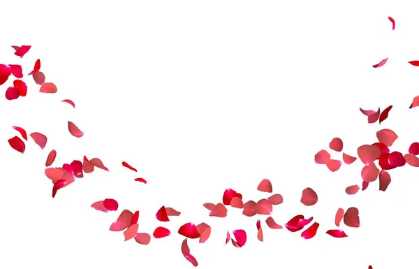 Лепестки красной розы летают по кругу. Свободное место для Ваших фотографий или текста — стоковое фото