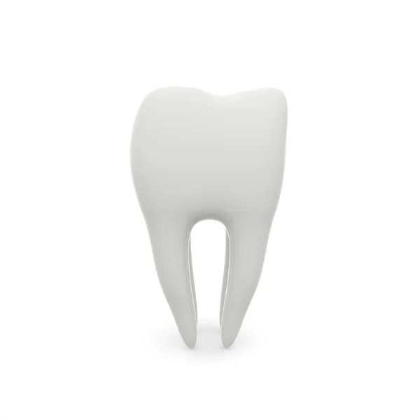 Model of a molar tooth on a white isolated background — Stock Photo, Image