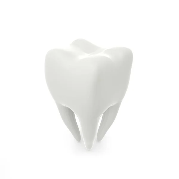 Model of a molar tooth on a white isolated background — Stock Photo, Image