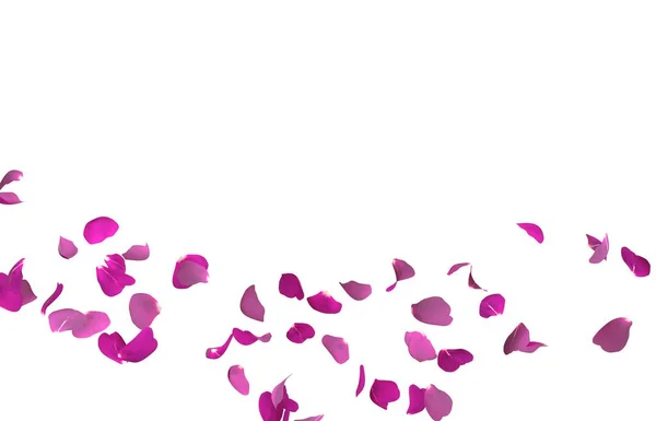 Fioletowe płatki róż pływające. Centrum wolnego miejsca na zdjęcia lub tekst — Zdjęcie stockowe