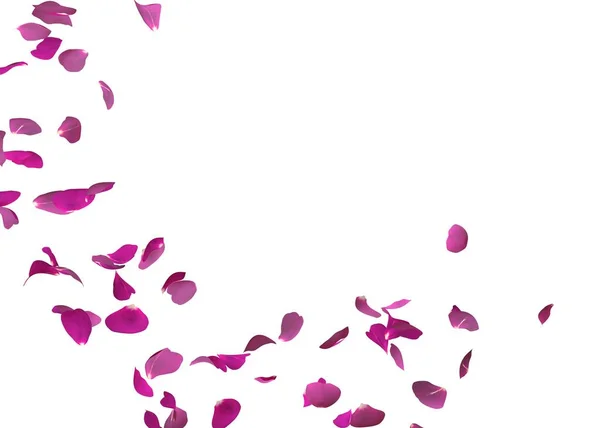 Pétalas de rosa roxas voando. O centro espaço livre para suas fotos ou texto — Fotografia de Stock