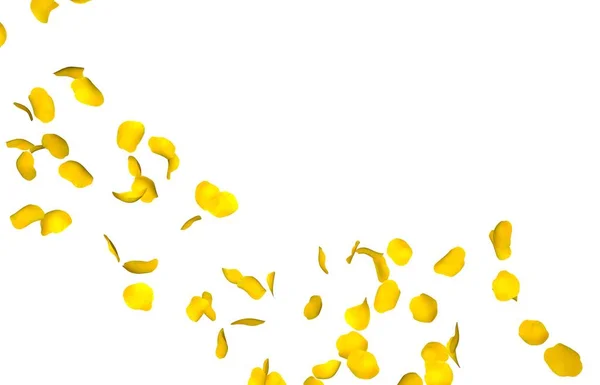 Żółte płatki róż latać w kółko. Centrum wolnego miejsca na zdjęcia lub tekst. Na białym tle — Zdjęcie stockowe