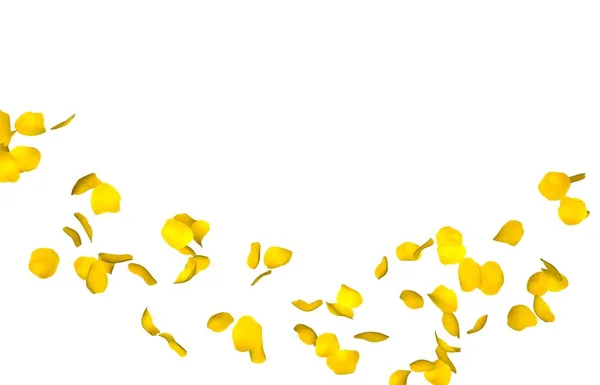 黄色的玫瑰花瓣在圆圈中飞舞。您的照片或文本的中心可用空间。孤立的白色背景 — 图库照片