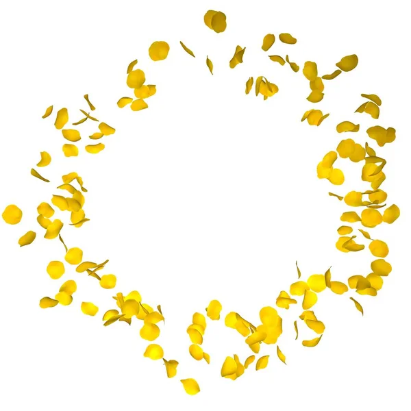 Les pétales de rose jaune volent en cercle. L'espace libre du centre pour vos photos ou texte. Fond blanc isolé — Photo