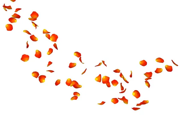 Orangefarbene Rosenblätter in der Luft — Stockfoto
