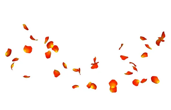 Oranje roze bloemblaadjes in het vliegen in de lucht — Stockfoto