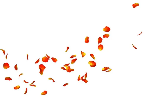 Pétalos de rosa transparente — Foto de stock © designnatures #11139597