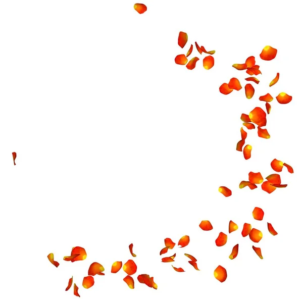 Oranje roze bloemblaadjes in het vliegen in de lucht — Stockfoto