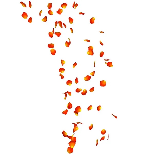 Pétales de rose orange en vol dans les airs — Photo