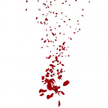 The petals of a dark red rose fly far into the distance clipart