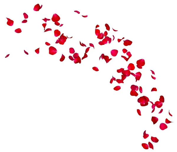 As pétalas de rosa vermelhas voam em um círculo. O centro espaço livre para suas fotos ou texto — Fotografia de Stock