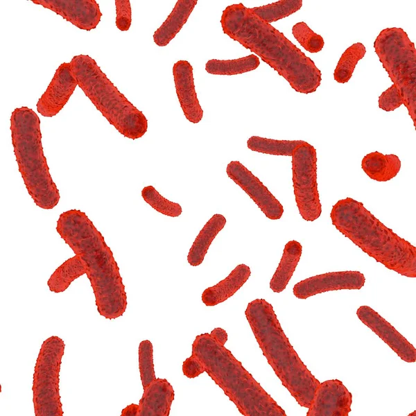 Röd bakterier inuti kroppen på en vit isolerade bakgrund — Stockfoto
